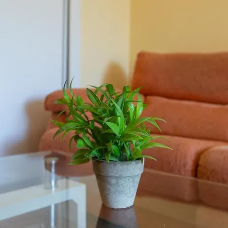 Daire Apartamento Torremolinos